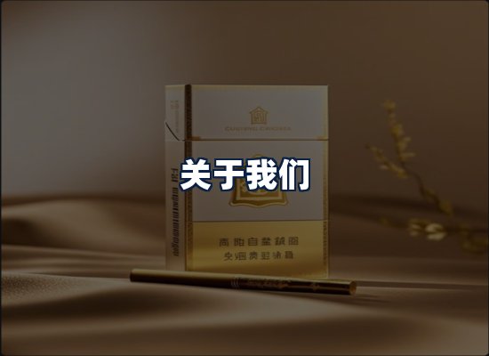 关于我们